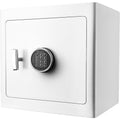 1.01 Cubic Ft Fireproof Jewelry Safe