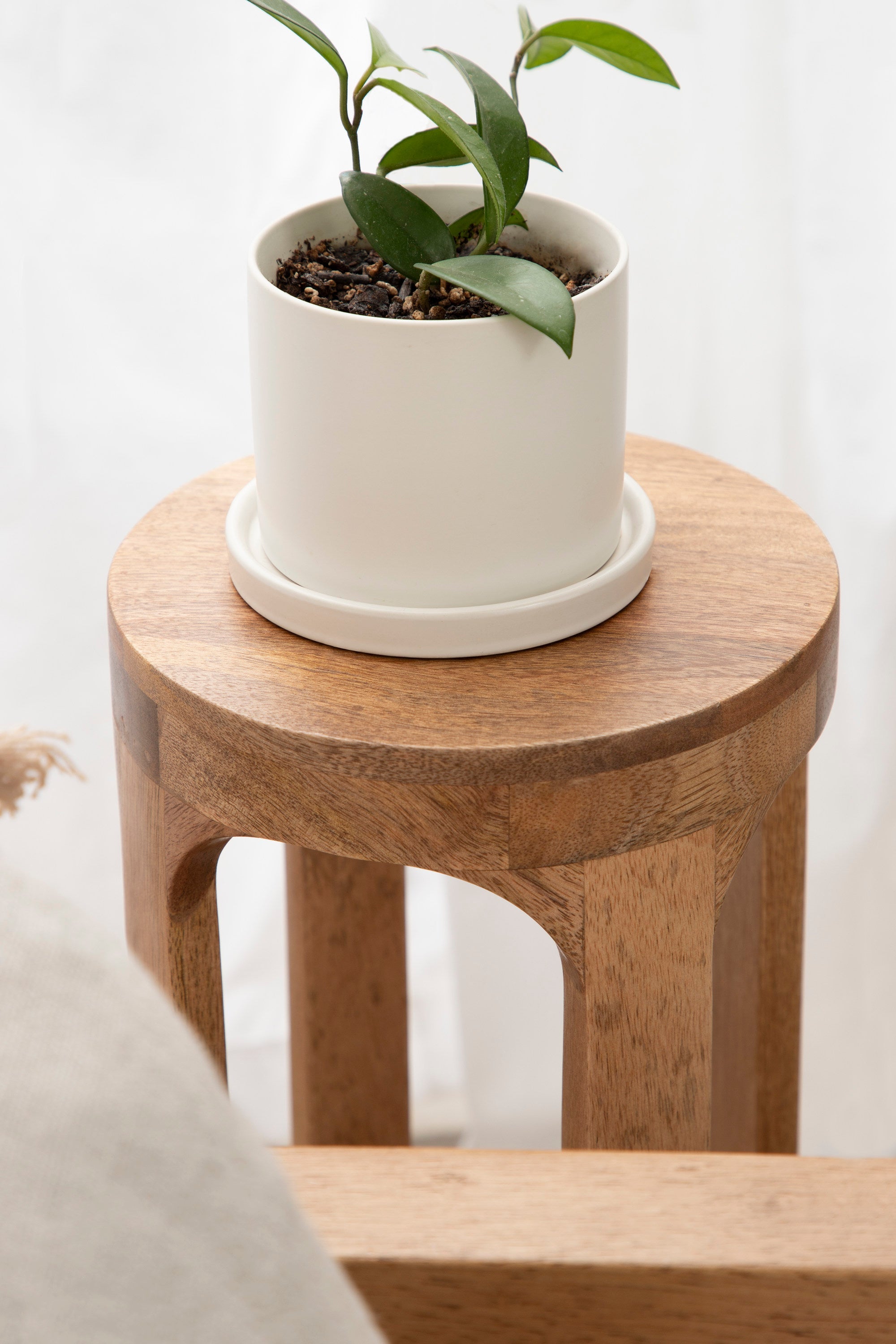 Dahl Wood Drink Table